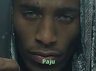 Paju