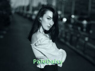 PaleDaisy