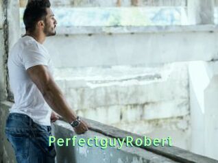 PerfectguyRobert