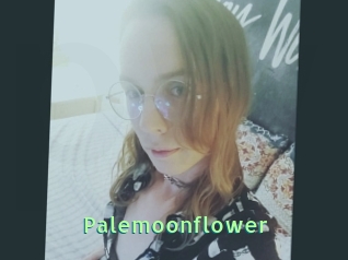 Palemoonflower