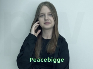 Peacebigge