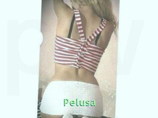 Pelusa