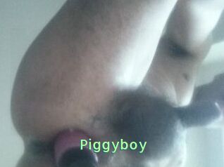 Piggyboy