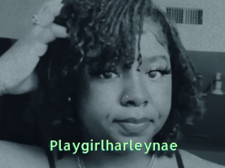 Playgirlharleynae