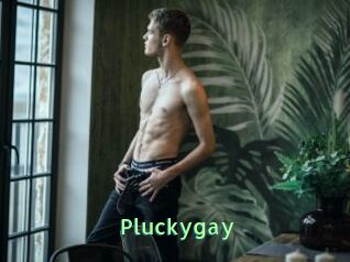 Pluckygay