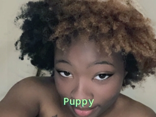 Puppy