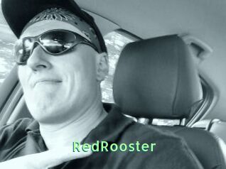 RedRooster