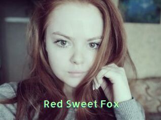Red_Sweet_Fox
