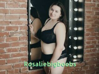 Rosaliebigboobs
