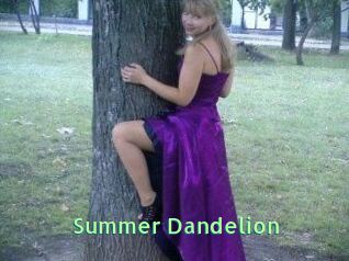 Summer_Dandelion