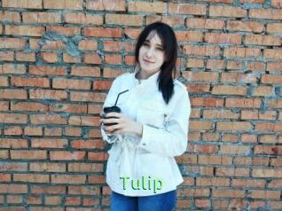 Tulip