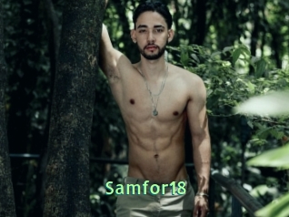 Samfor18