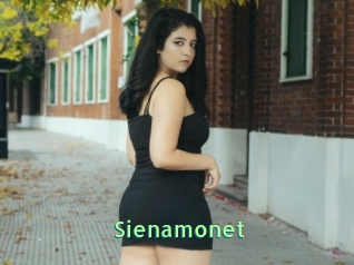 Sienamonet