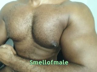 Smellofmale