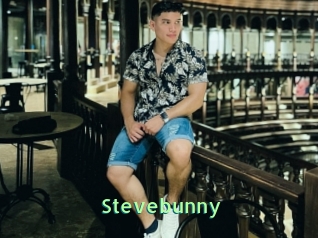 Stevebunny