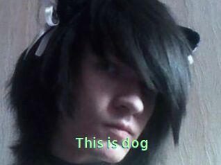 This_is_dog