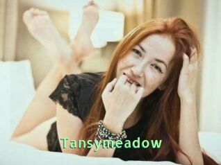 Tansymeadow