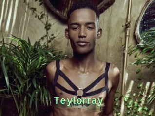 Teylorray