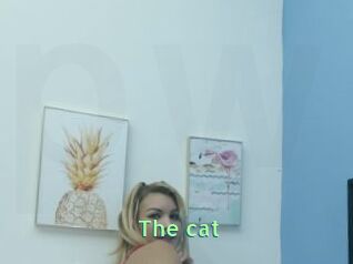 The_cat