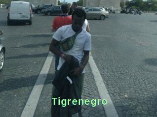 Tigrenegro
