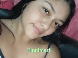 Tinnimark