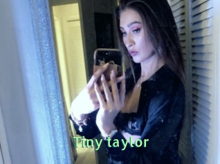 Tiny_taylor