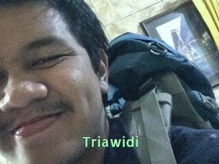 Triawidi