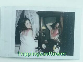 Trippingsunflower