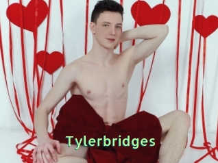 Tylerbridges