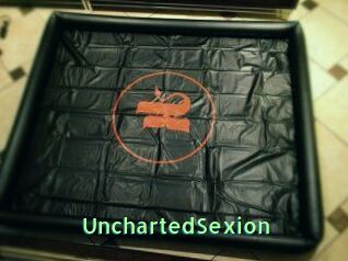 UnchartedSexion