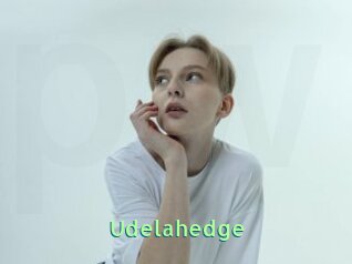 Udelahedge