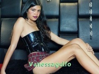 Vanessagulfo