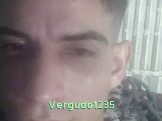 Vergudo1235