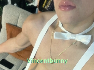 Vincentbunny