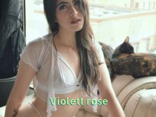 Violett_rose