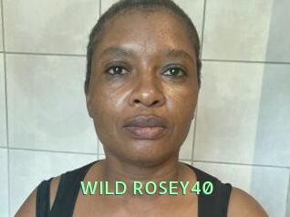 WILD_ROSEY40