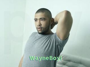WayneBoyI