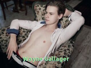 Wayne_Gallager