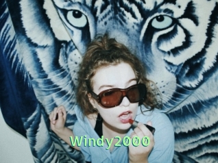Windy2000