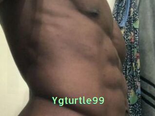 Ygturtle99