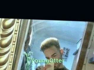 YoungOtter