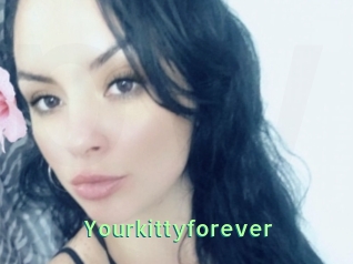 Yourkittyforever