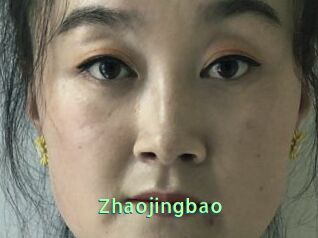 Zhaojingbao