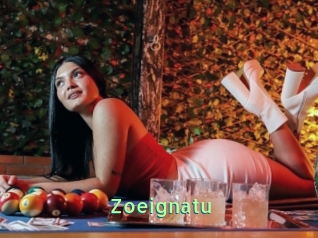 Zoeignatu